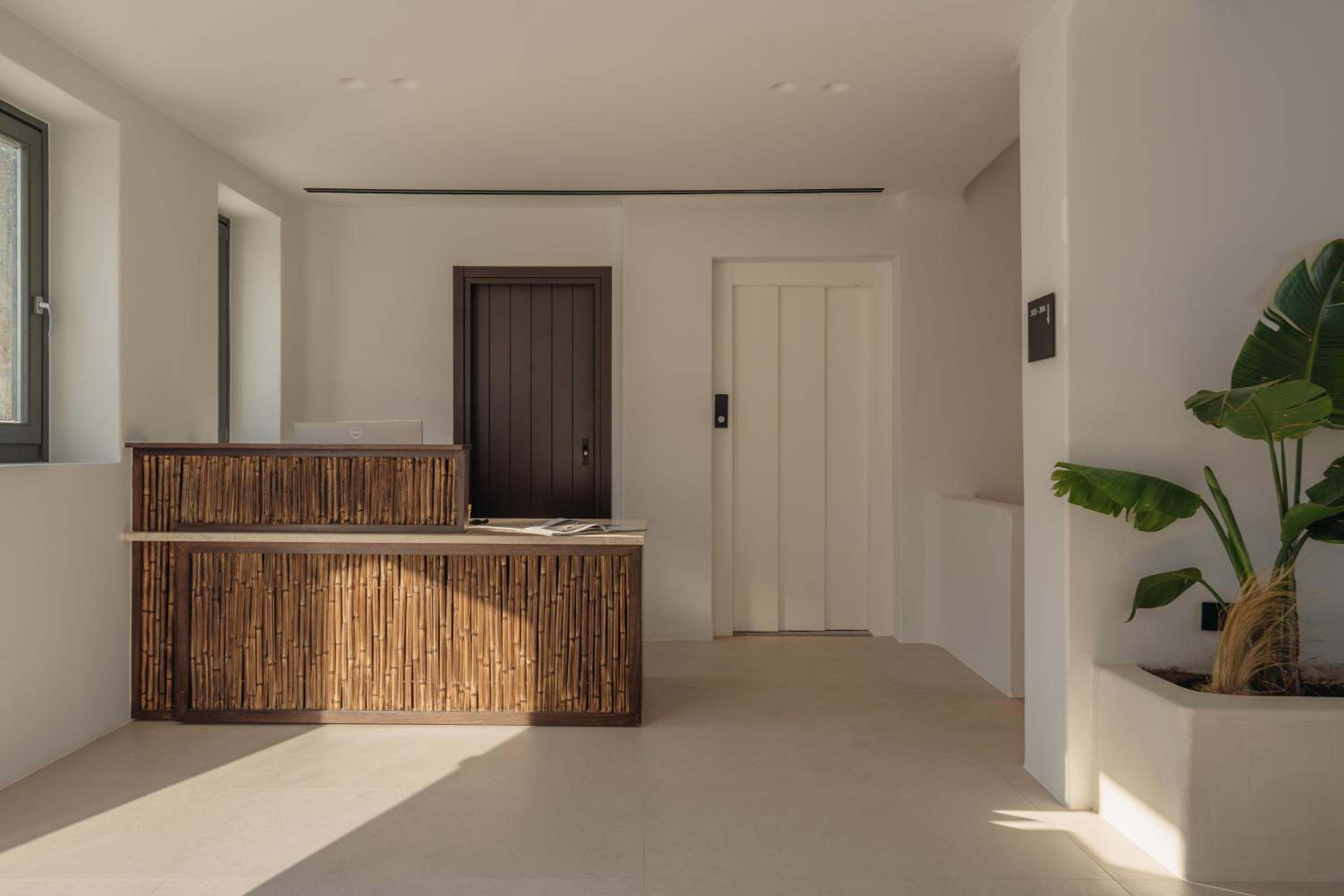 Reception, with a woven-front desk and a tall potted plant